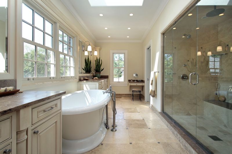 Elegant Bathtub Space